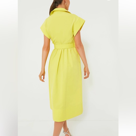 TUCKERNUCK Citron Chloe Dress SMALL - Picture 3 of 13